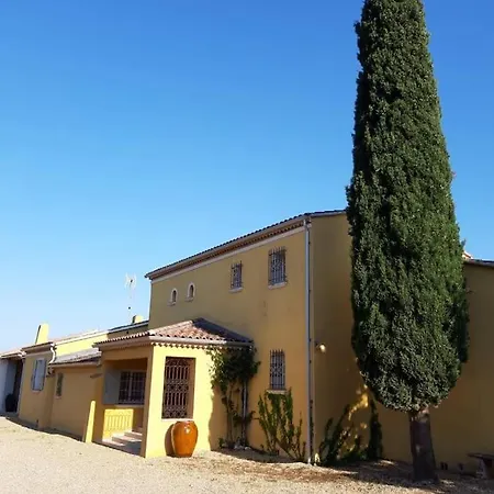 Apartment Lumineux Deux Pieces En Rez De Jardin Hyères