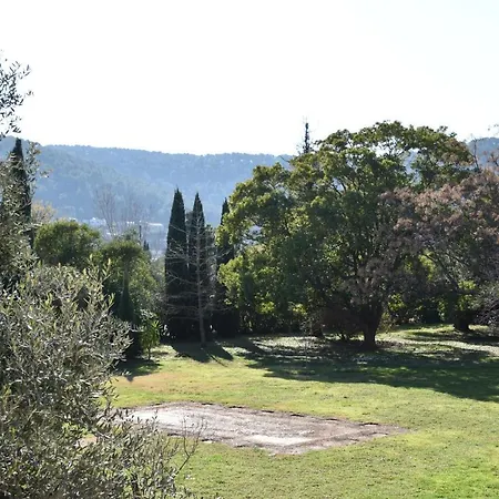 Lumineux Deux Pieces En Rez De Jardin Apartment Hyères